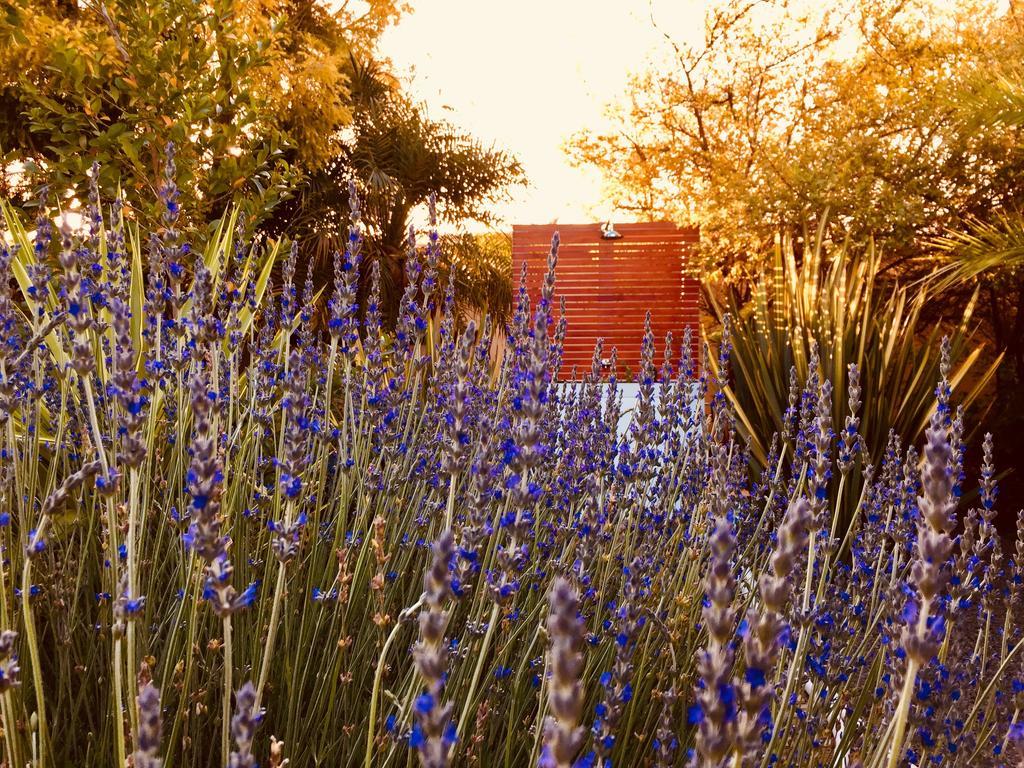 Pictures Guest House Boutique Hotel Oudtshoorn Exterior foto